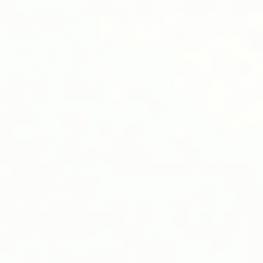WHITE PLAIN MATTE 30X90