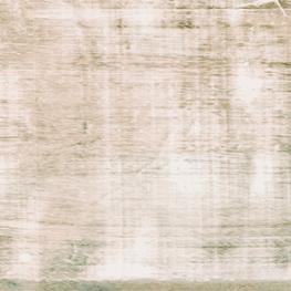 PAINTED HD BE