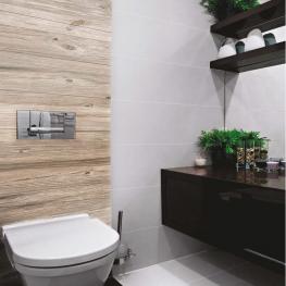 AMBIENTE PLANT 02