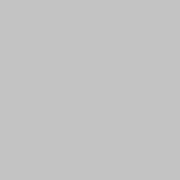 Light Grey 60x60