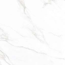 STATUARIO MERCURY 60X60_F4